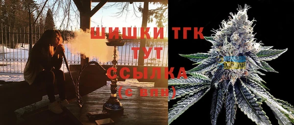 мяу мяу мука Алзамай